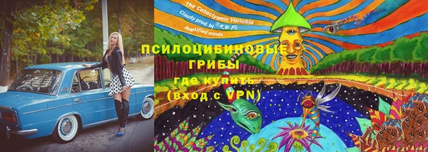 а пвп мука Белокуриха