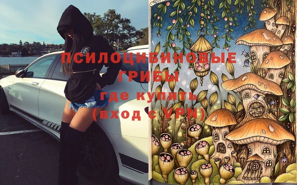 молекула духа Беломорск
