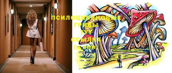 молекула духа Беломорск