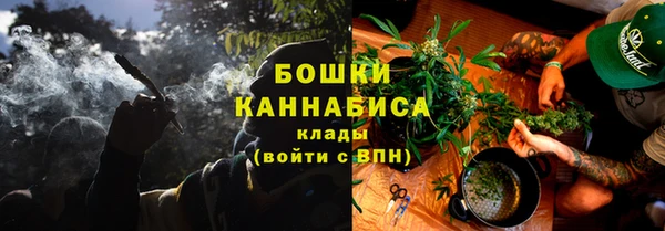 ECSTASY Богданович