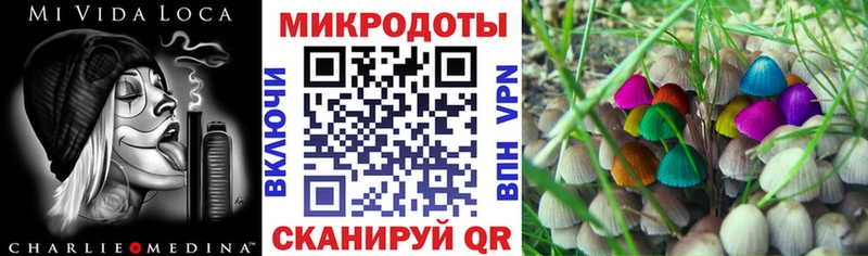Галлюциногенные грибы мицелий  Городец 